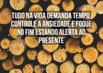 Controlando a  Ansiedade e Fortalecendo a Mente Empreendedora